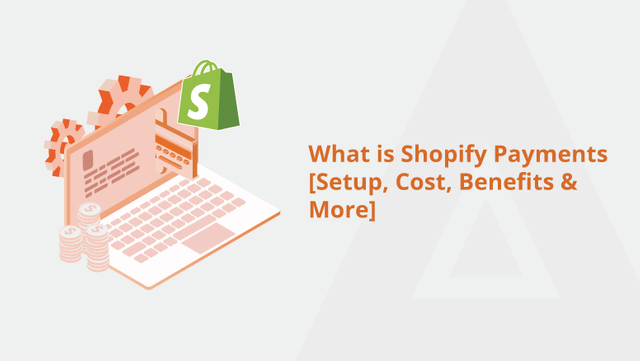 What-is-Shopify-Payments-[Setup,-Cost,-Benefits-&-More]-Social-Share.png